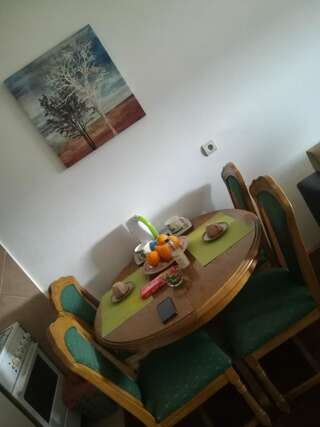 Апартаменты Apartment Sara Подгорица Апартаменты-15