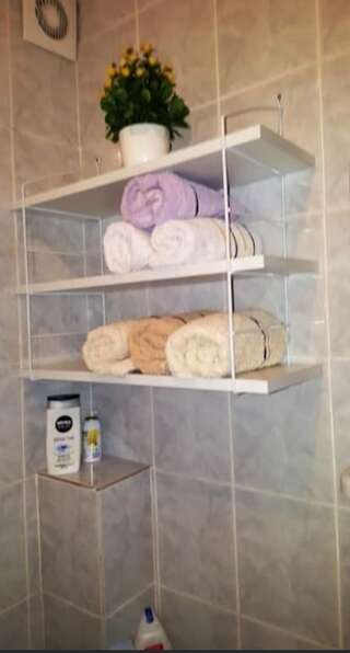 Апартаменты Apartment Sara Подгорица Апартаменты-26